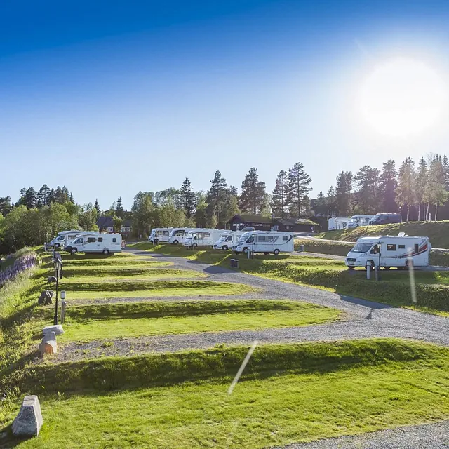 Ledige plasser på campingplass