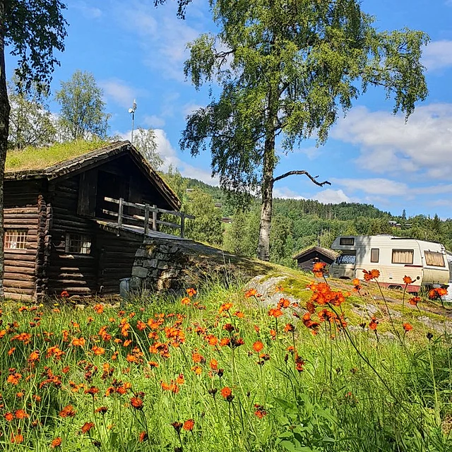 Gårdsbygg i laftet tømmer med torvtak