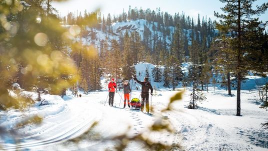 Tre personer med ski og pulk på skiløype i skog