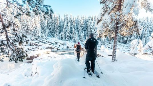 To personer på snødekt skogssti med truger